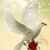 Connie Kirby's profile image