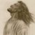 Bill Van Clief Sr.'s profile image