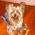 Janice Spates's profile image