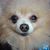Pat Krol's profile image