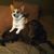 Kathy Moeckel's profile image