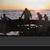 Helene Petrocelli's profile image