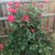 Maria Sanchez's profile image