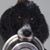 Sally Anderson's profile image