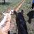 Sharon Riels's profile image