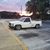 Austin Saxon's profile image