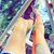 Amanda Marie Koehler's profile image