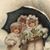 Carol Fox's profile image