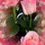 Susan Betts's profile image