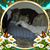 Vickie J Tipton's profile image