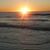 Linda Potts's profile image
