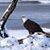 Julie Barkhurst Richardson's profile image