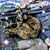 Trisha Cullom Ashburn's profile image