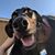Carmen Lamphere's profile image
