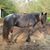 Marcia Harris-Johnson's profile image