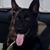 Pattie Rhatigan Oefelein's profile image