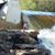 Shaun M. Darder's profile image