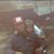 Teri Johnson Aho's profile image