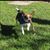 Janet Schlotter's profile image