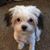 Kimberly Johnson's profile image