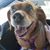 Barbara Ann Kashinski's profile image