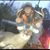 Luke A Growe's profile image