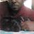Brodny Wilson's profile image