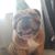 Rebecah Oldham Allen's profile image