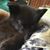 Teresa Davis Buster's profile image