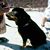 Keoni Braunei's profile image