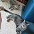Tammy Marovets's profile image