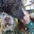 Anna M. Draus's profile image