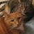 Jan Hallsten's profile image