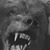 Tony del Rio's profile image