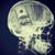 Corey MadDog Pritt's profile image
