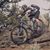 Kris Siewell's profile image