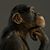 Christopher Knight's profile image
