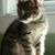 Vicky Shaw's profile image