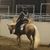 Karla Kegley's profile image