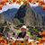 Susan Uffelman- Robertson's profile image