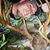 Chuck Clemmer's profile image