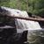 Karen Wilcox's profile image