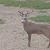 Robert Walker's profile image