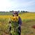 Aleta Cardinal's profile image