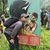 Saepul Akmal's profile image
