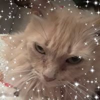 Denise Kay's profile image