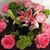 Debra A Faulkner's profile image