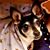 Nancy Norris-Cox's profile image