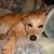 Rocky Drake's profile image