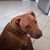 Holly Robertson's profile image